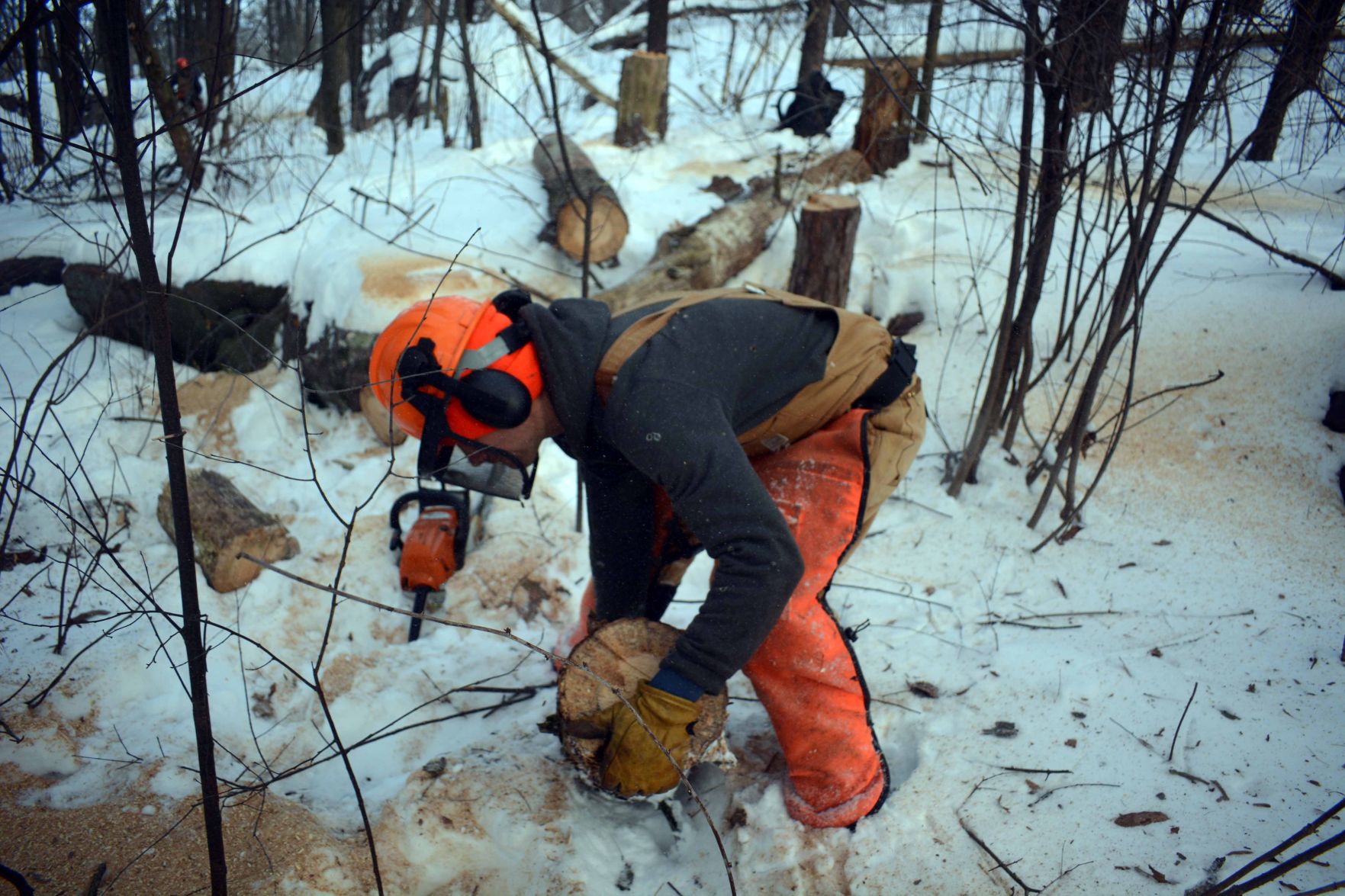 Devil's Lake east bluff stewardship work